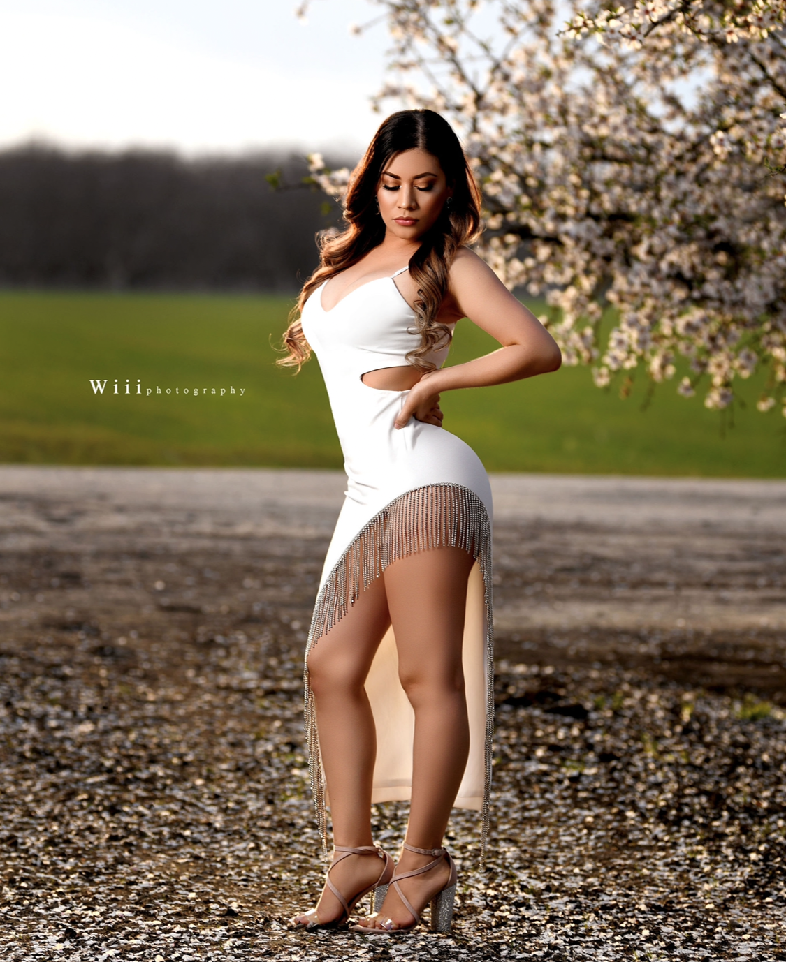 Adore Me Long Dress